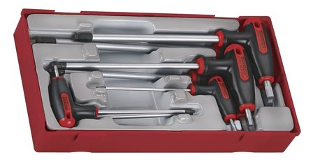 Allen set with t-handle tc-tray 2.5/8mm 7dlg