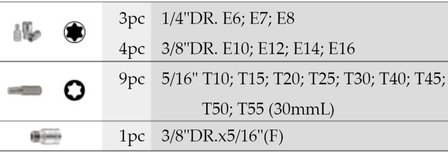 Star socket &amp; bit set 17pc