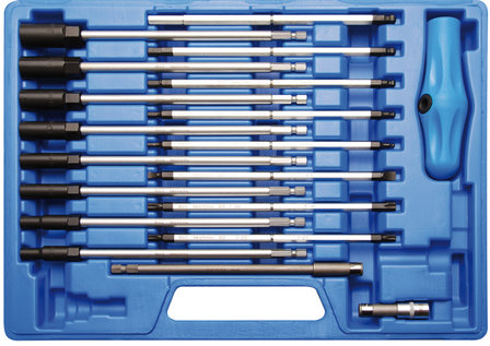 Special T-Handle Screwdriver Set 19 pcs