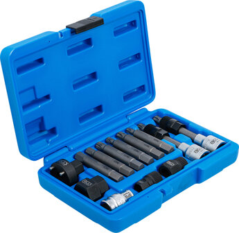 Alternator Bit/ Bit Socket Set 12.5 mm (1/2) 13 pcs