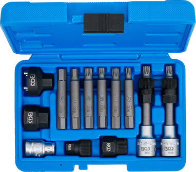 Alternator Bit/ Bit Socket Set 12.5 mm (1/2) 13 pcs