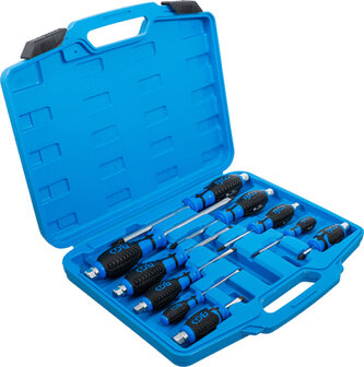 Screwdriver Set 10 pcs