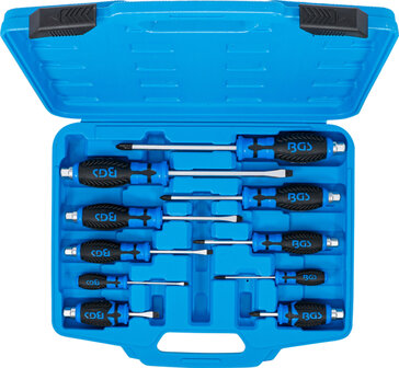 Screwdriver Set 10 pcs