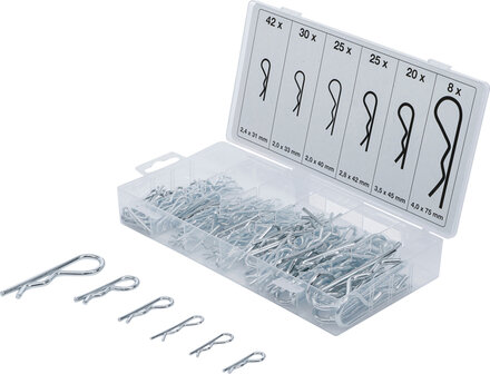 150-piece R-Clip Assortment