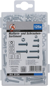 125-piece Nut and Screw Assortment, M4 + M5 metric