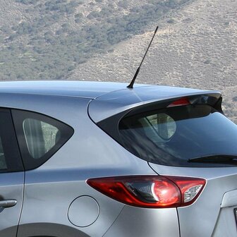 Car antenna incl. M5 M6 adapters