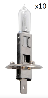 Car lamp 12V 55W P14.5s H1 in box x10 stuks