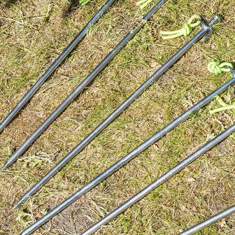 Rock Peg 40 cm Galvanized Steel with P-Hook Heavy Duty x10 pcs