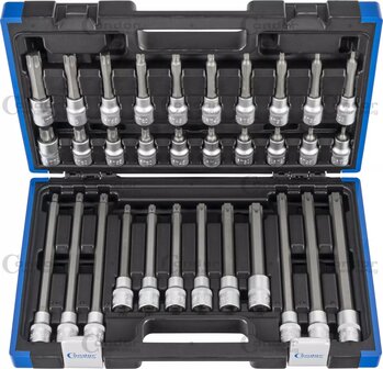 Socket wrench bit set 1/2 TP profile (for Torx Plus) T20 - T70 32-piece