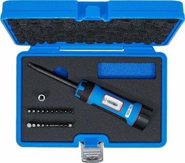 Torque Wrench Set with Bit Set (1/4) 1 - 8 Nm 22 pcs