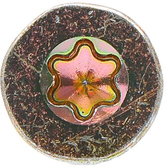 Multi-Purpose Screws T-Star (for Torx)