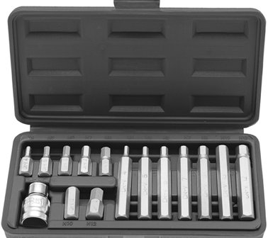 15-piece Internal Hexagon Bit Set