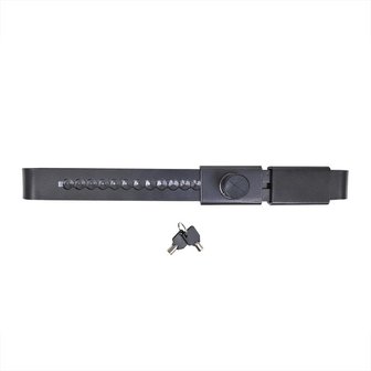 Adjustable trailer and container lock