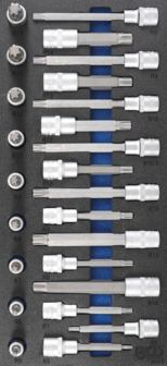 Tool Tray 1/3: Bit Socket Set  12.5 mm (1/2 inch)  Spline (for RIBE)  25 pcs.