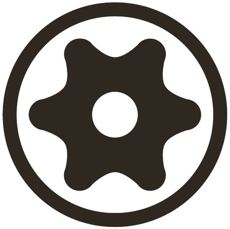 Bit Socket (5/16) Drive T-Star tamperproof (for Torx)
