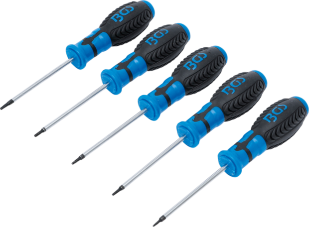 Screwdriver Set T-Star tamperproof (for Torx) T6 - T10 5 pcs