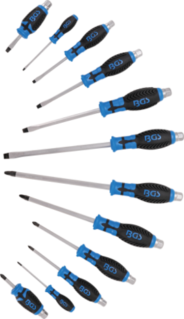 Screwdriver Set 12 pcs