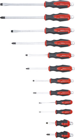 Screwdriver Set 12 pcs