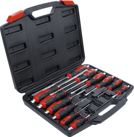 Screwdriver Set 12 pcs