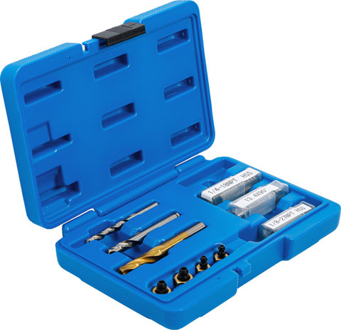 Universal Repair Set for Brake Caliper Bleeding Valves, 1/4 & 1/8 NPT