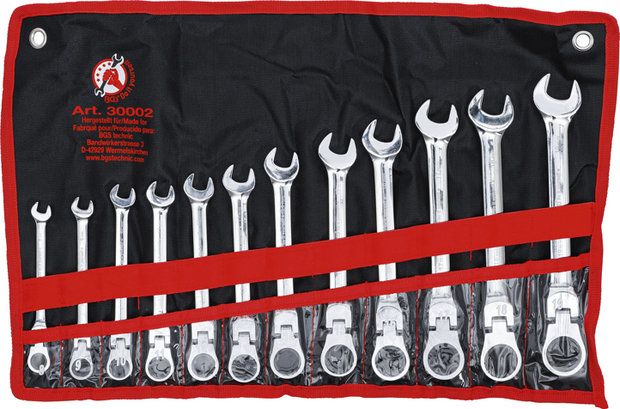 Ratchet Combination Wrench Set flexible Heads 8 - 19 mm 12 pcs