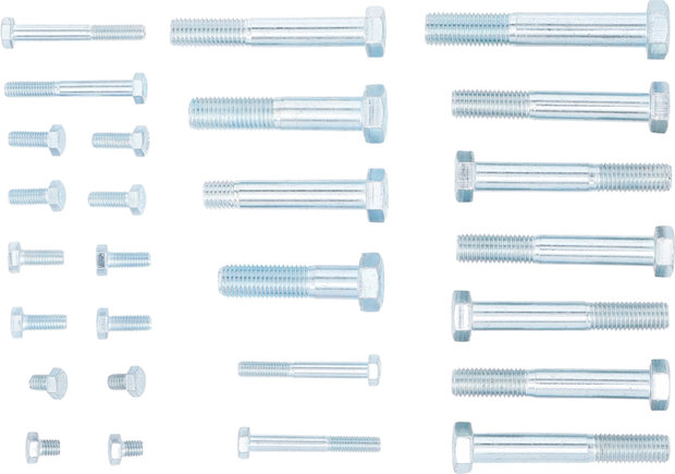 Screw Set (8.8) for BGS 11999