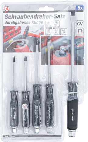 Screwdriver Set 5 pcs