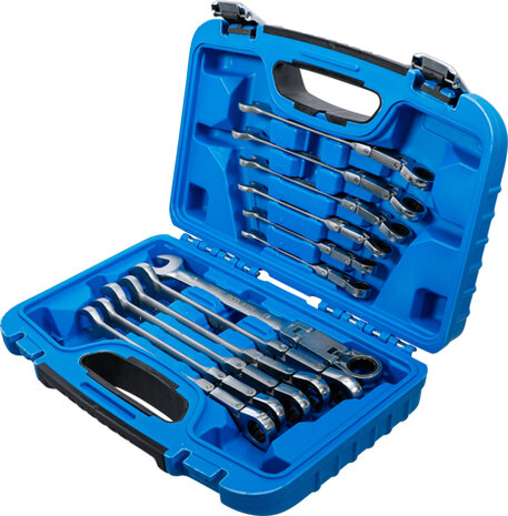 Double-Joint Ratchet Combination Wrench Set adjustable 8 - 19 mm 12 pcs