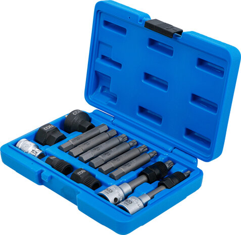 Alternator Bit/ Bit Socket Set 12.5 mm (1/2) 13 pcs