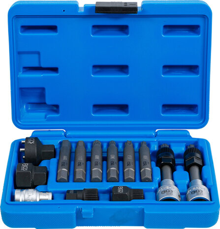 Alternator Bit/ Bit Socket Set 12.5 mm (1/2) 13 pcs