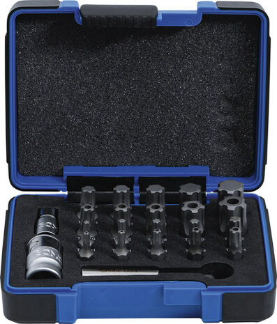 Bit Set | TS Profile PLUS (for Torx Plus) | 23 pcs.