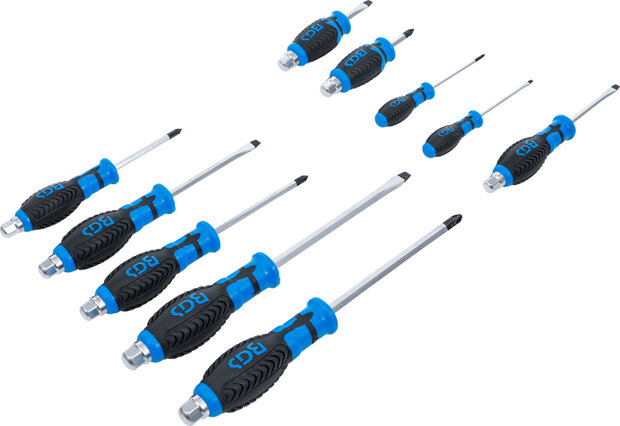 Screwdriver Set 10 pcs