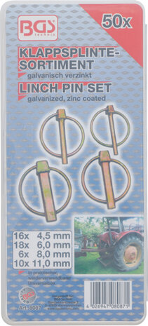 Linchpin Assortment 50 pcs