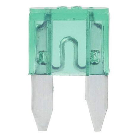 Mini fuses 30A green 6 pieces