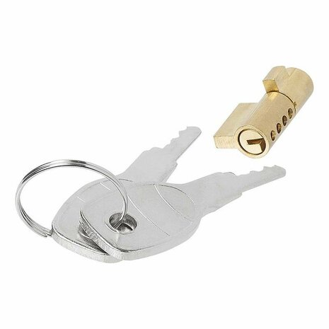 Plug lock for ball coupling