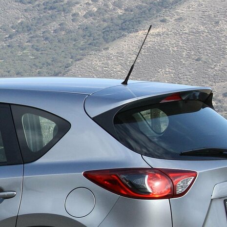 Car antenna incl. M5 M6 adapters