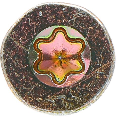 Multi-Purpose Screws T-Star (for Torx)