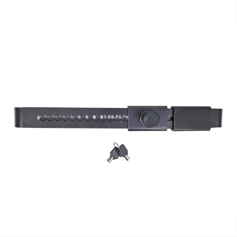 Adjustable trailer and container lock
