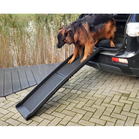 Dog car ramp
