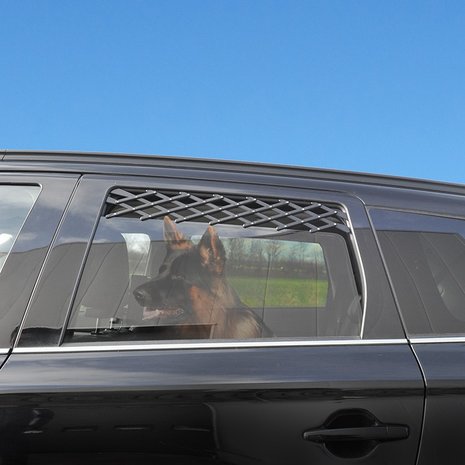 Ventilation grille for car window