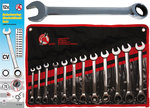 Ratchet Combination Wrench Set 8 - 19 mm 12 pcs