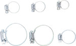 6-piece Hose Clamp Assortment