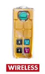 Hoist 230v wireless remote control