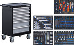 Workshop Trolley 7 Drawers with 246 Tools