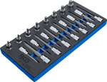 Tool Tray 1/3: Bit Socket Set  12.5 mm (1/2 inch)  Spline (for XZN)  22 pcs.