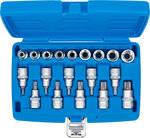 Bit Socket / Socket Set 12.5 mm (1/2