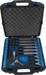 Universal Puller Set, 2/3-legged, diameter 40-125 mm, 100-255 mm