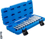 Special Socket Set, slotted 10 mm (3/8) Drive 5 - 19 mm 12 pcs