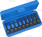 Impact Socket Bit Set 9-pcs 1/2 ribe-profile M5-M14