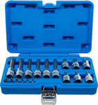 Bit Socket Set 6.3 mm (1/4) / 12.5 mm (1/2) Drive T-Star (for Torx) 18 pcs